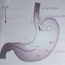 위산 억제제를 복용했는데도 더 소화가 안되는 이유는? 이미지