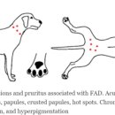 괴산동물병원 이미지