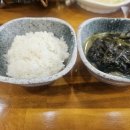 뜰안 이미지