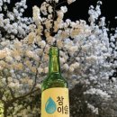 벚꽃호프