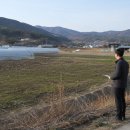 매수농장 Daum카페