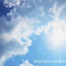 신영통 삼성원 정형외과의원 이미지