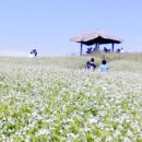 학암농장 이미지