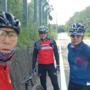 금선농장 이미지