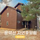뉴소나무펜션 네이버블로그
