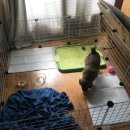 도리약국 이미지