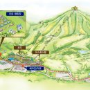 웰리힐리파크 오토캠핑장 이미지