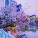 안흥유원지 이미지