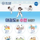 온리원 태권도 이미지