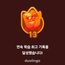 [리뷰] 영어 공부 앱 듀오링고 후기