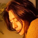미남컷 TV리포트