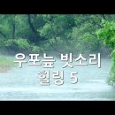 우포의 숲속 이미지