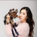 메디 포즈 동물병원 이미지