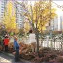 충주숲~칠금중학교 교내 나무 이름달아주기^^ 이미지