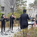 발코니음악회 이미지