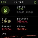 D13 이미지