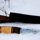 Beauty in Dog's 이미지