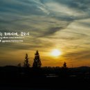 바다정원 이미지