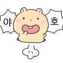 신라스테이 해운대호텔 이미지