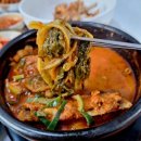 돈골대가 이미지