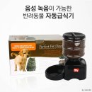 슈퍼멍캣