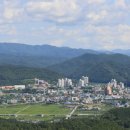 (주)올가홀푸드 이미지