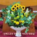 성베드로와 성바오로 사도 대축일 이미지