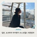 칸 | 일본 요코하마 아카렌가 크리스마스 마켓 코스모월드 대관람차 투명칸 후기