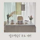 종합전자 | 부산 사하구 육아종합지원센터 셀프 백일상 무료 대여 및 이용후기