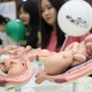 아이좋아 뉴시스