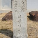 순천-44호 네이버블로그