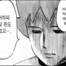 컨트리애견 이미지