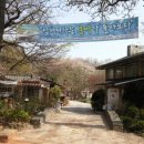 늘품자연유치원 이미지