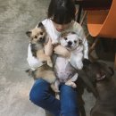 키라