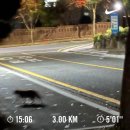 내 손의 3D프린터,레이저커팅기A | 세상엔 이해할 수 없는 게 참 많다