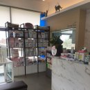 송악 동물병원 이미지