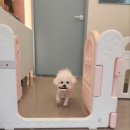 연두미용실