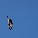 팔공산 둘레길 4구간 이미지