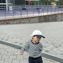 보보아가구 - 구로구 중앙로1길 42 | 4살 남아 봄 옷 소비 일기 4 (버켄스탁, 트루아티스트, 폴로, 스톤아일랜드, CP컴퍼니, 스마포크...