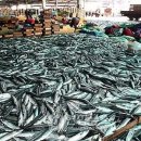 (주)디지털실크로드 이미지