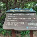 대안여행 이미지
