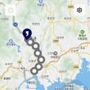 진월 돈탁마을 숲 이미지