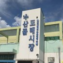 대전 노은수산물도매시장 | 회 포장부터 시세까지 방문후기