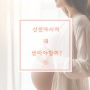 청경빌딩 | 임산부마사지?, 산전마사지 시기,효과