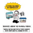 햄스터 키우는 사람이 자주 꾸는 꿈 이미지