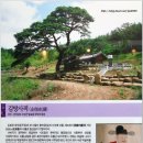제일상회(벌교) | [스크랩] 광산김씨(光金)의 발상지(發祥地) / 평장동(平章洞)을 찾아서 ...