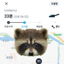 비에이치씨아산모종