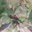 북광주농협 우치동지점 이미지