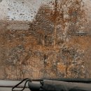 마이티컴퍼니 이미지