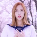 토슈